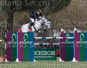 Arioldi R Utile TosTour 2013- S5 7164 : Arezzo Equestrian Centre, Arioldi Roberto, Toscana Tour 2013, Utile, foto di Stefano Secchi ©